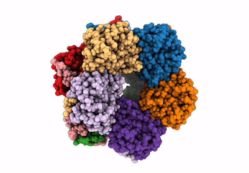 8BC3 image