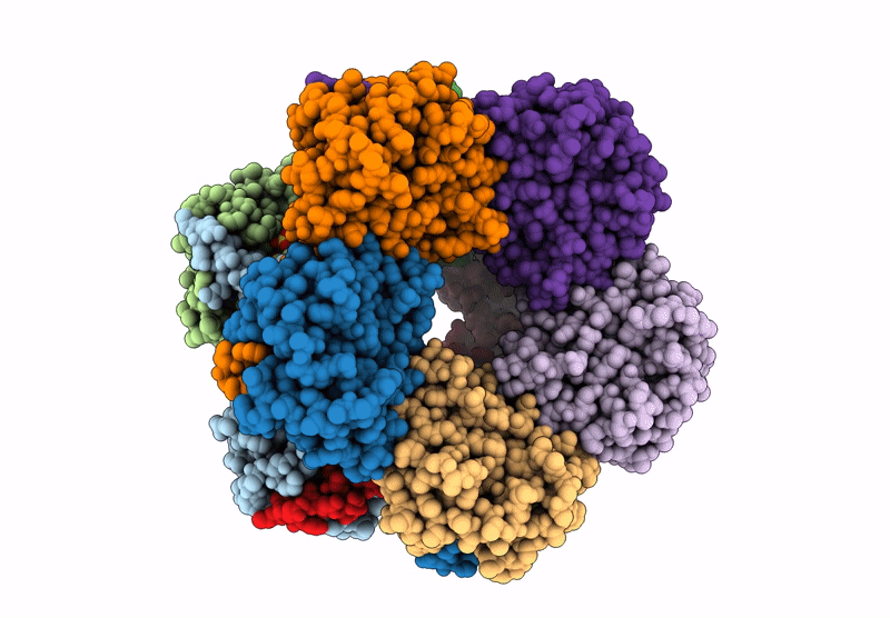 8BC4 image