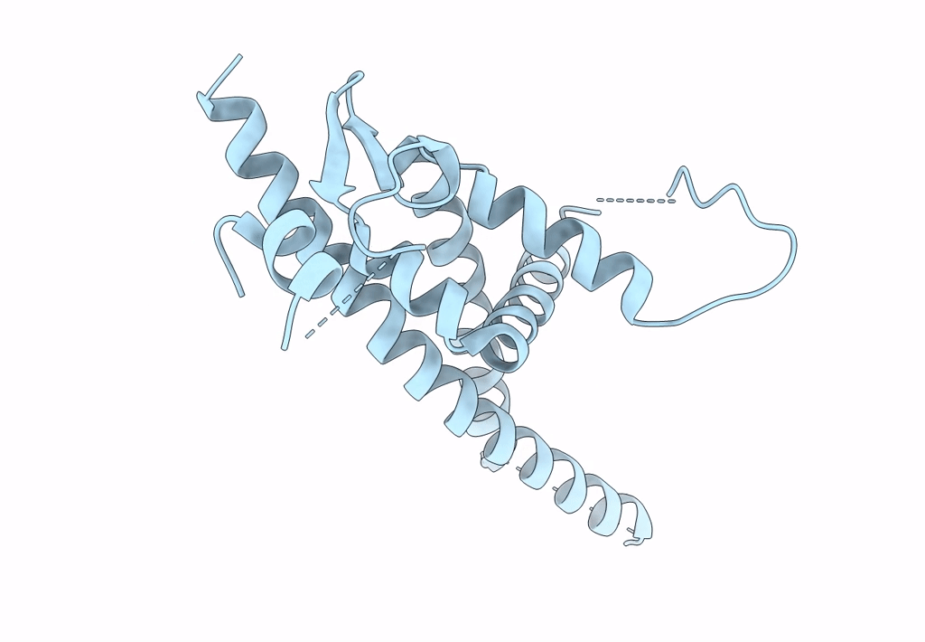 8BCL image