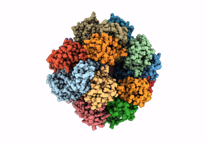 8BCM image