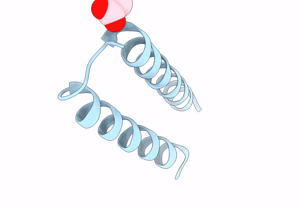 8BCS image
