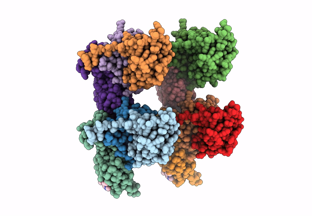 8BDI image