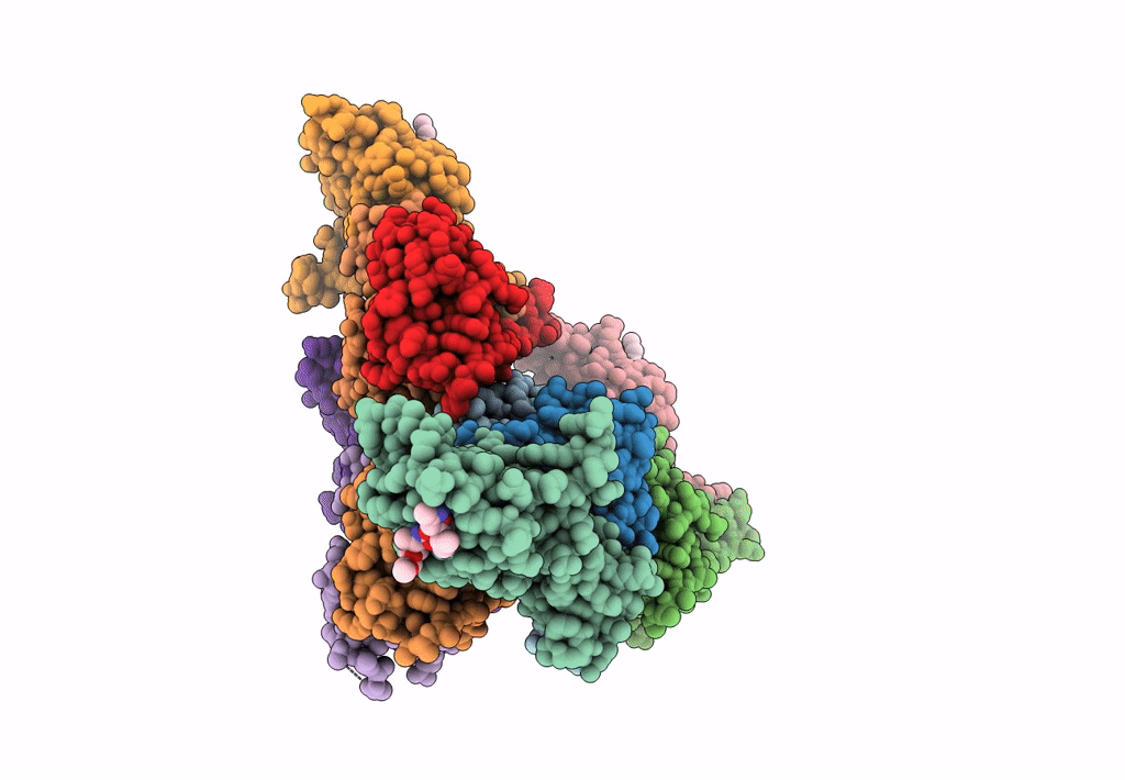 8BDL image