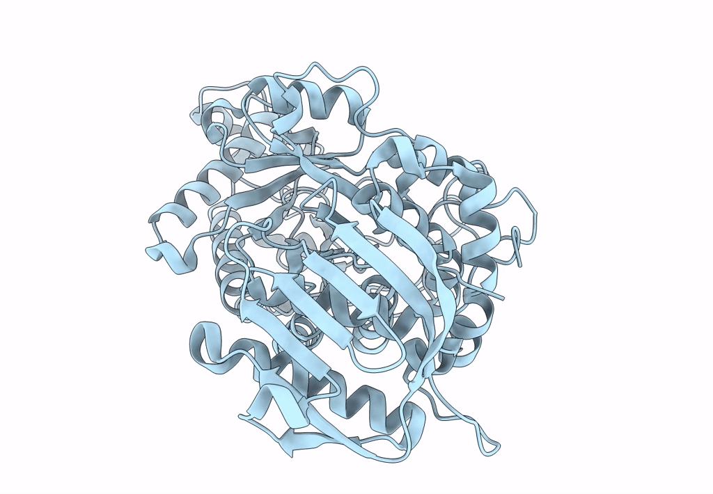 8BDP image