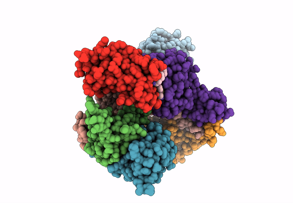 8BDT image