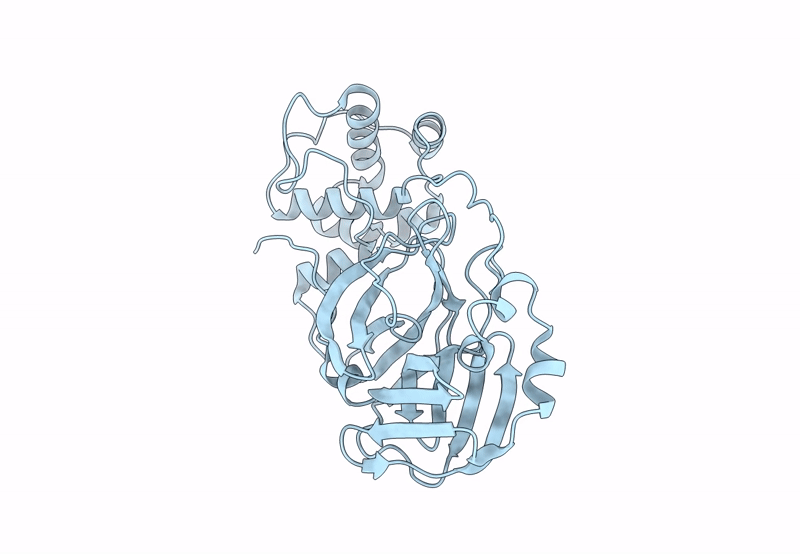 8BFO image