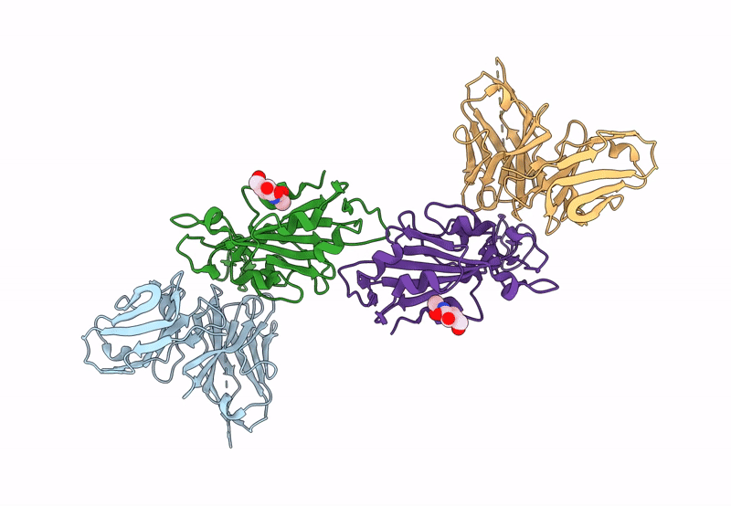 8BG2 image