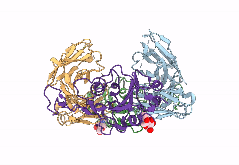 8BG4 image