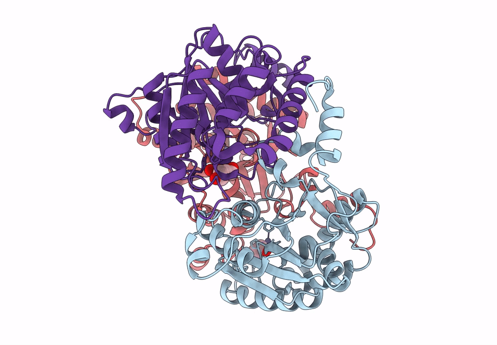 8BGN image
