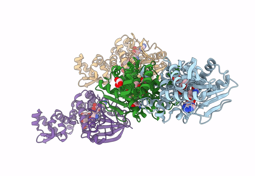 8BIB image