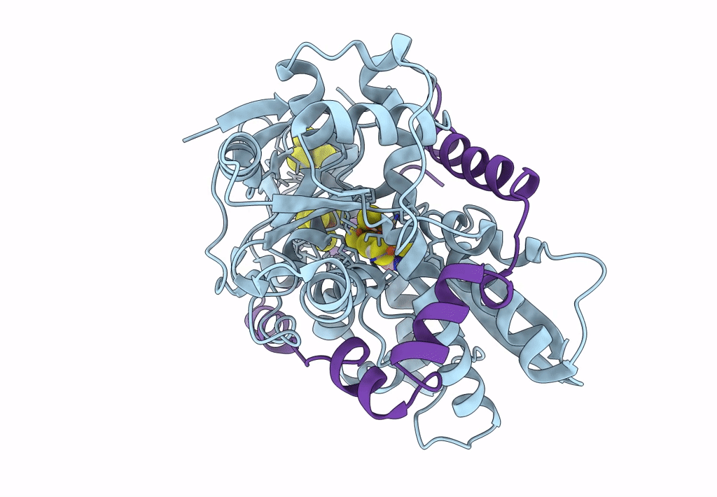 8BJ8 image
