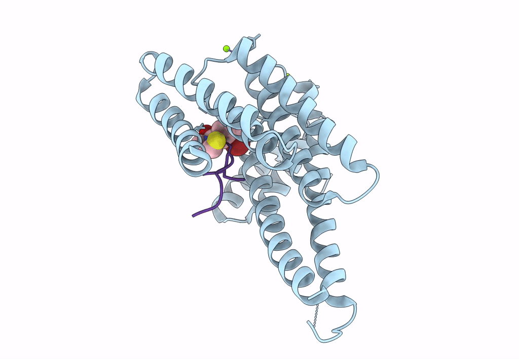 8BJN image