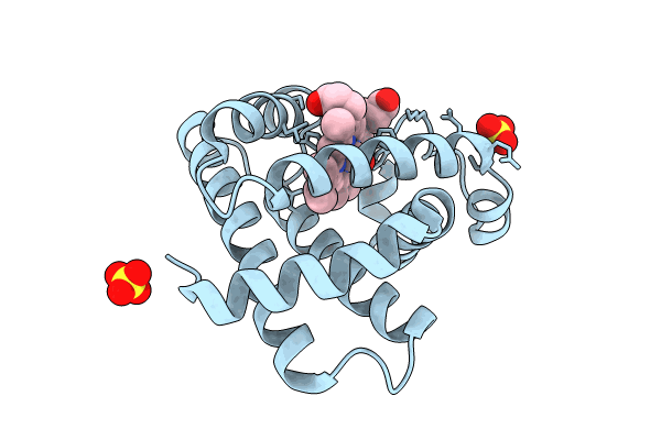 8BKN image