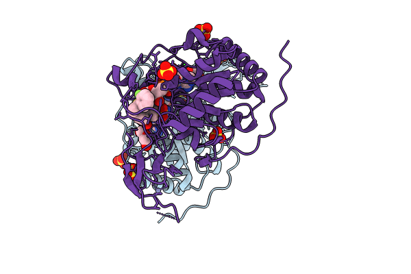 8BL1 image