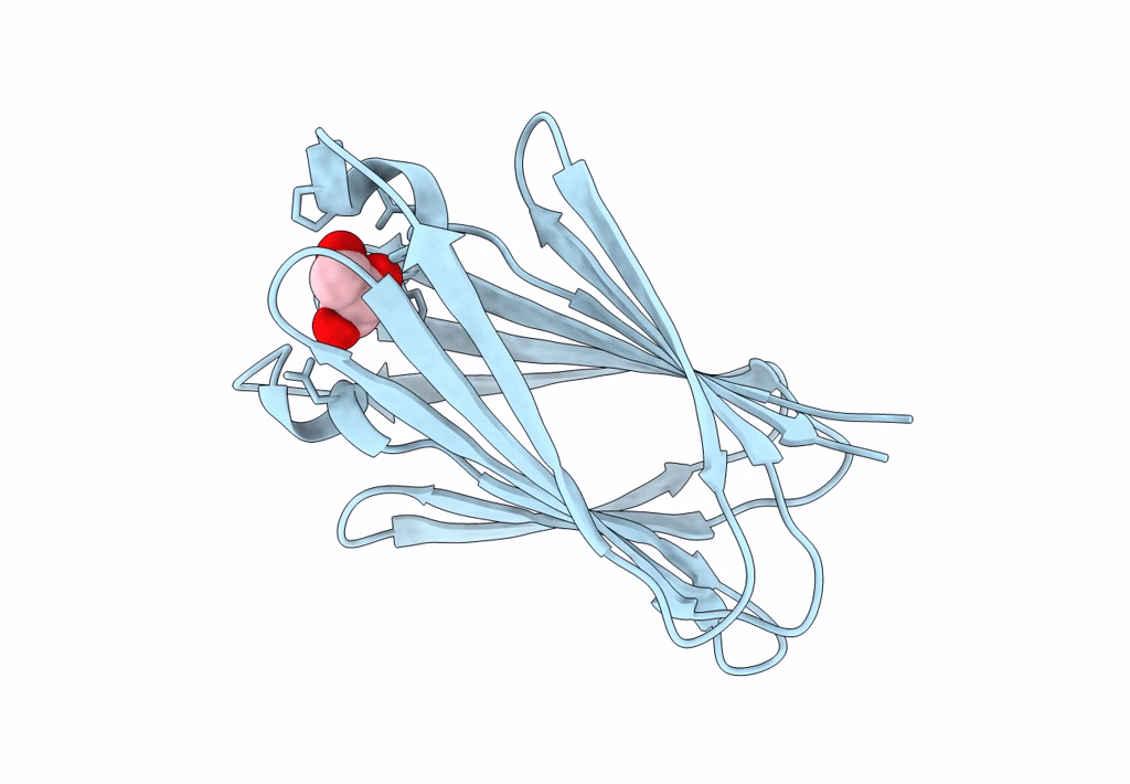 8BL3 image
