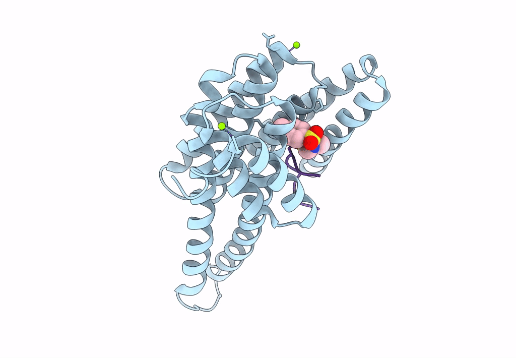 8BM5 image