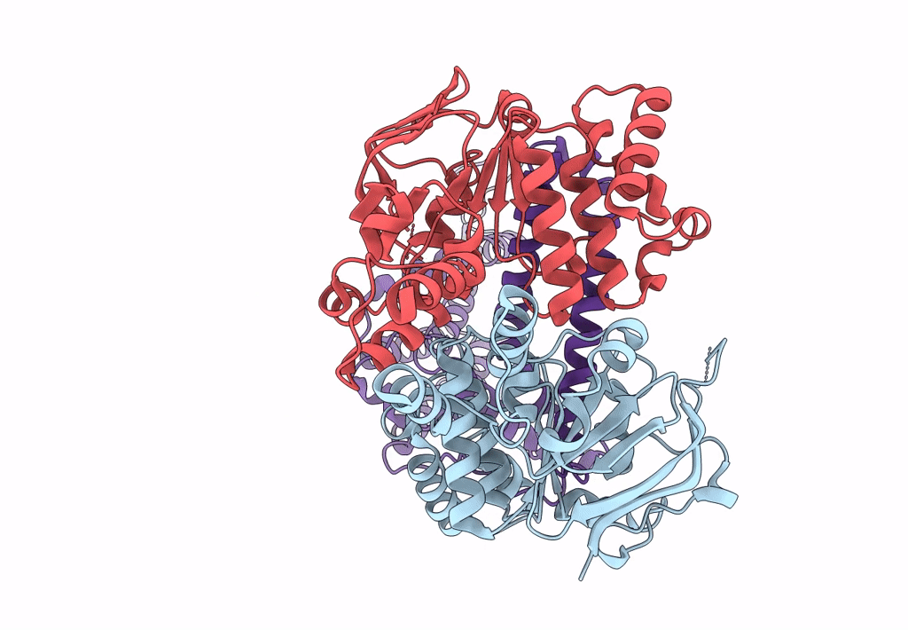 8BMR image
