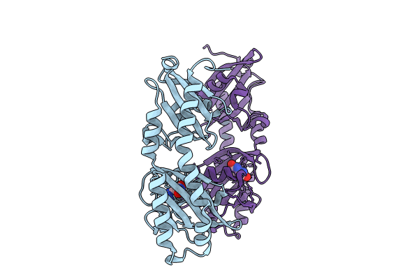 8BMV image
