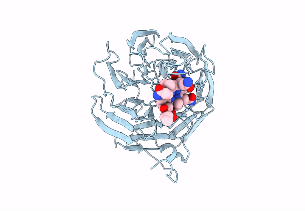 8BN0 image