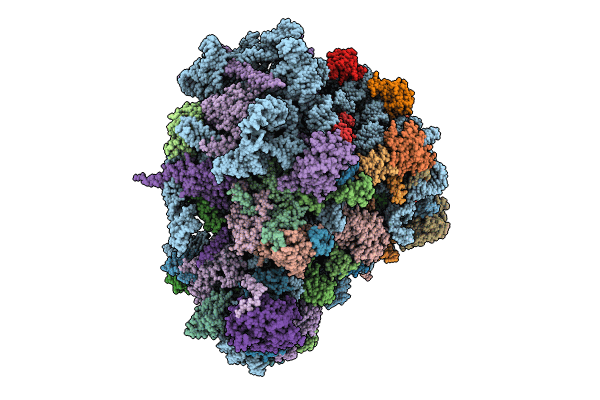 8BN3 image