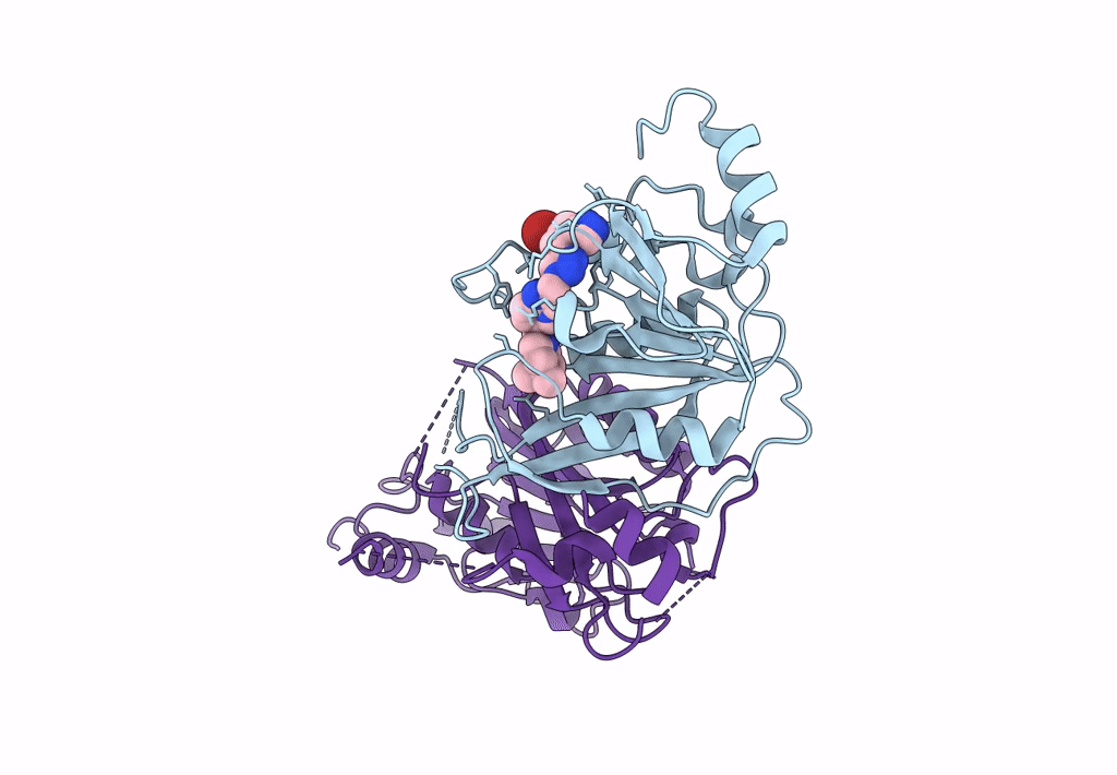 8BN8 image