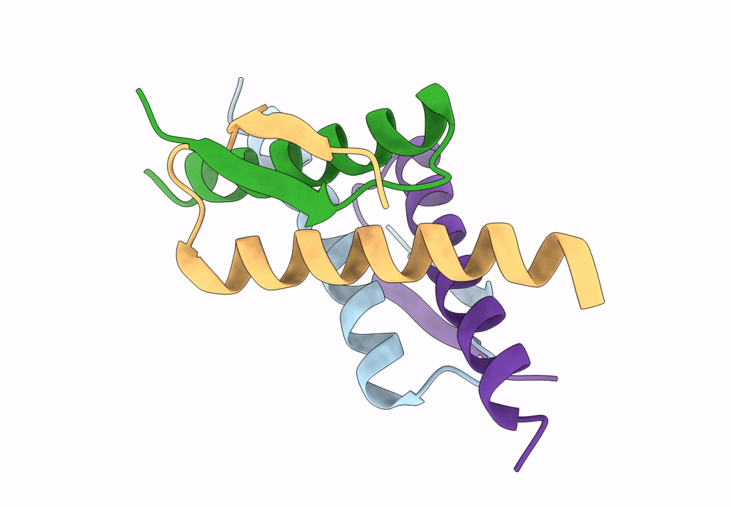 8BNY image