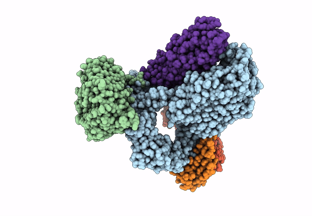 8BNZ image