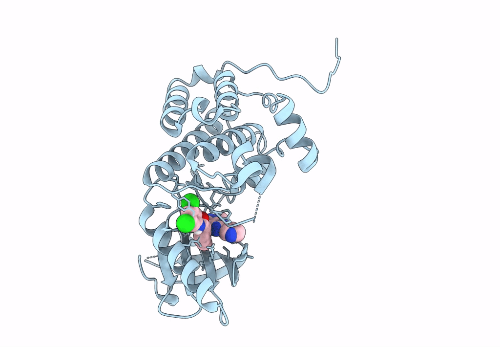 8BOD image