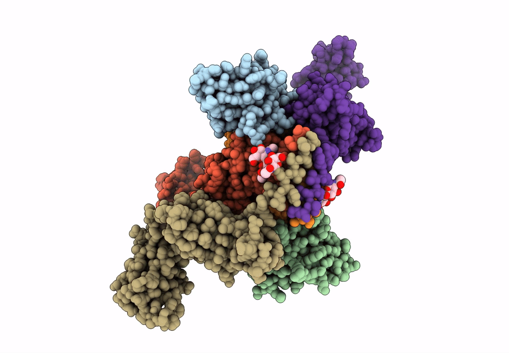 8BPG image