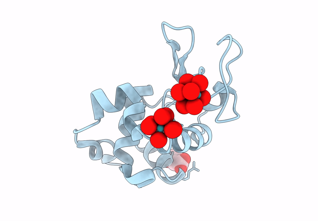 8BPH image