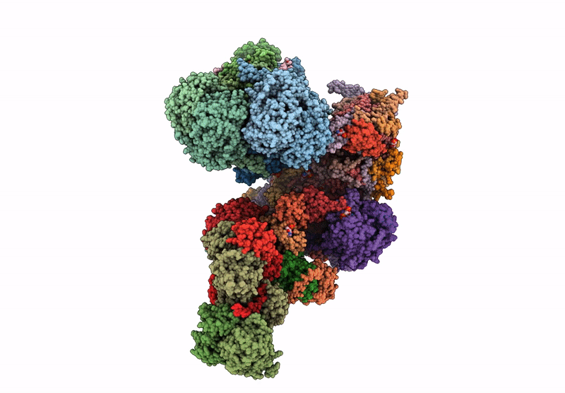 8BPX image