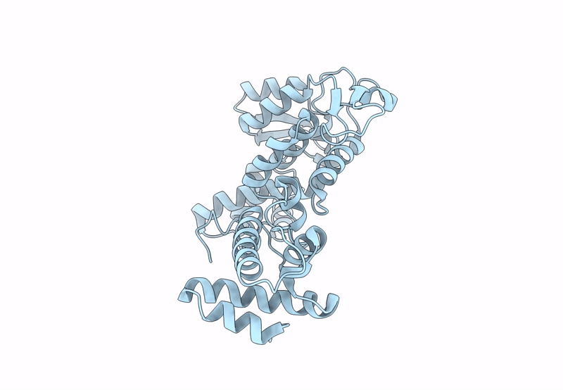 8BPZ image
