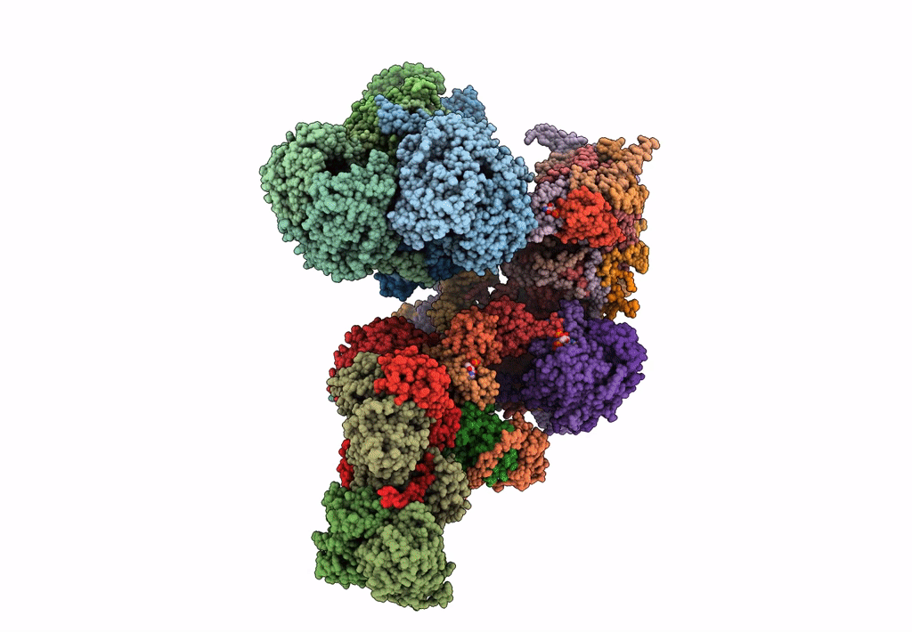 8BQ5 image