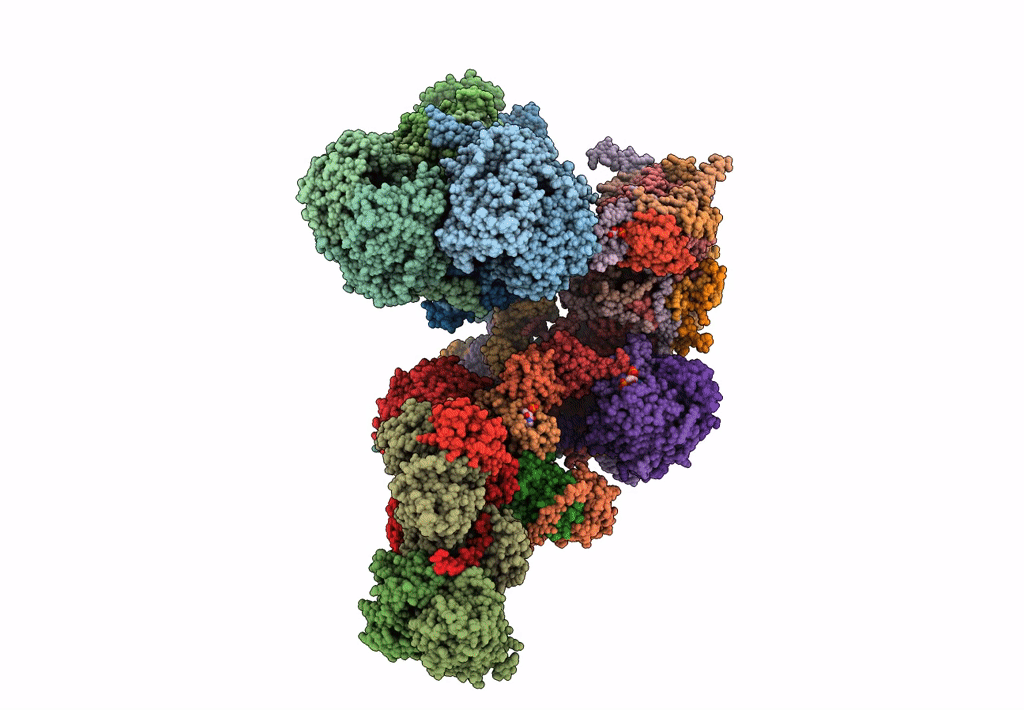 8BQ6 image