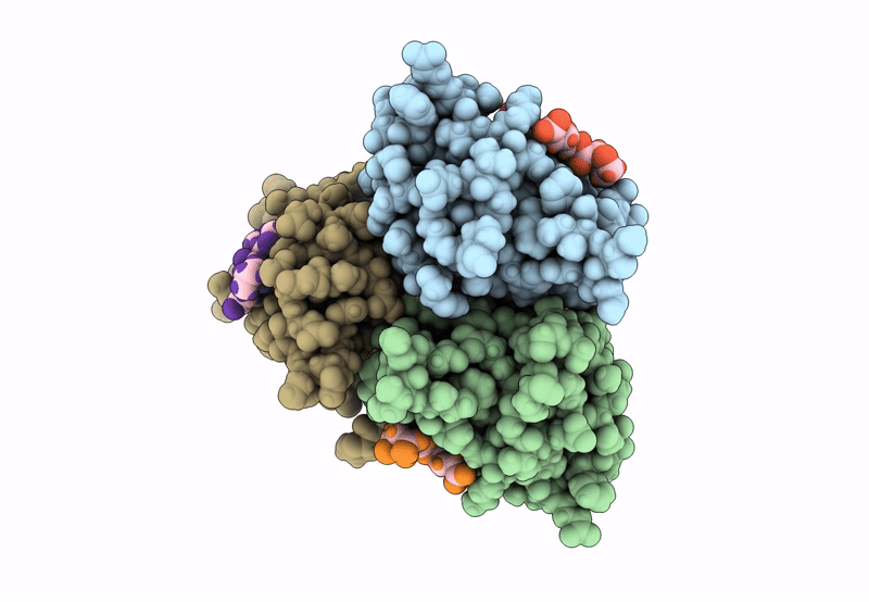 8BQ8 image
