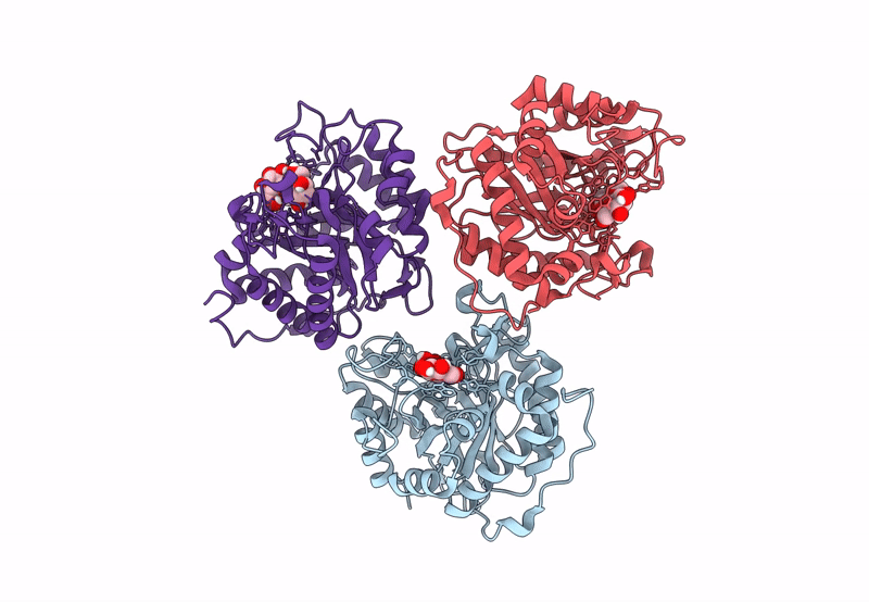 8BQB image