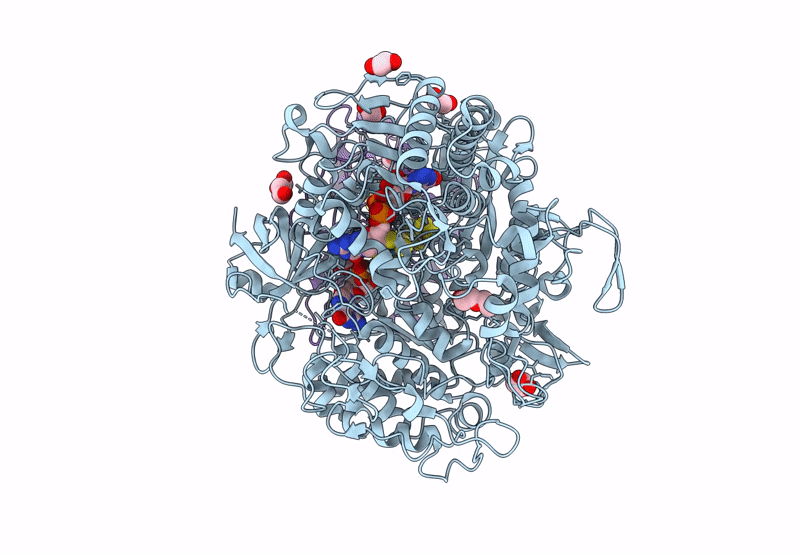 8BQI image