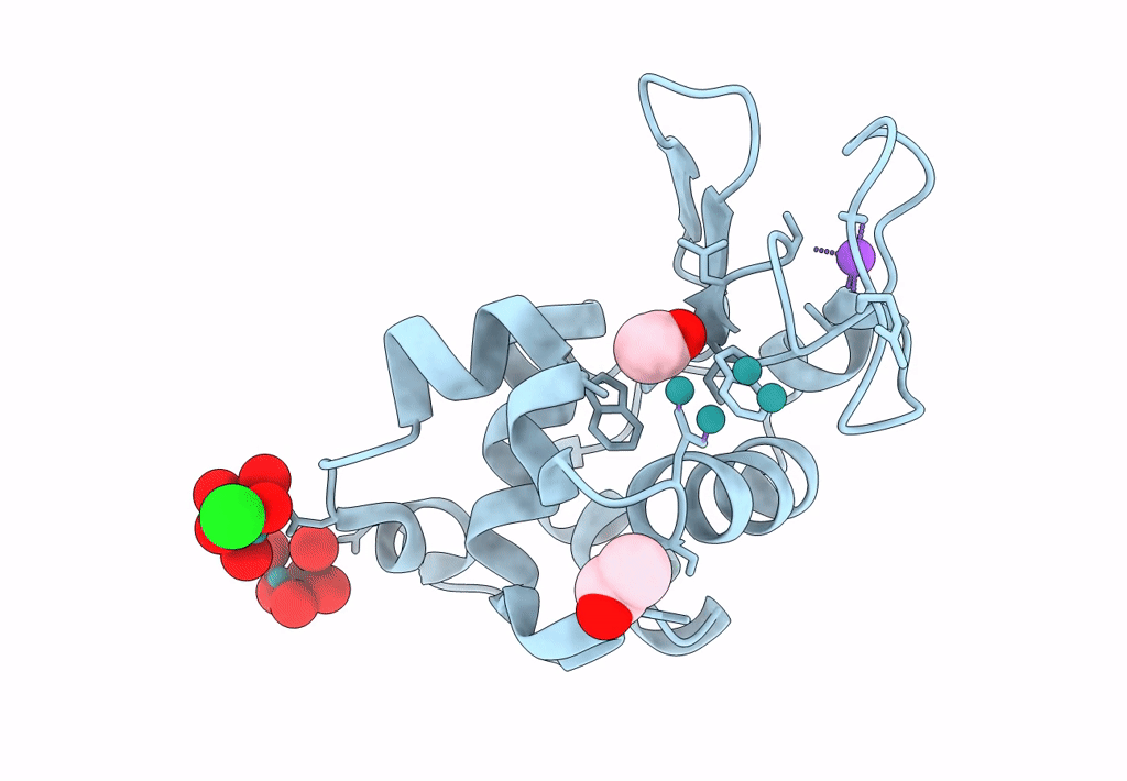 8BQM image