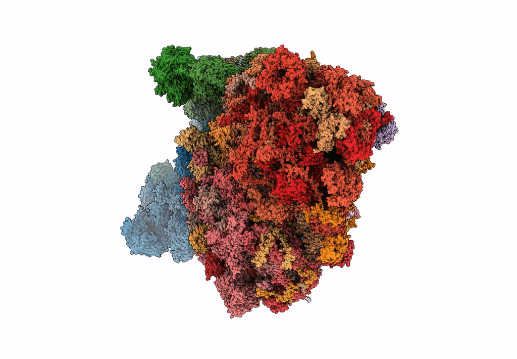 8BQS image