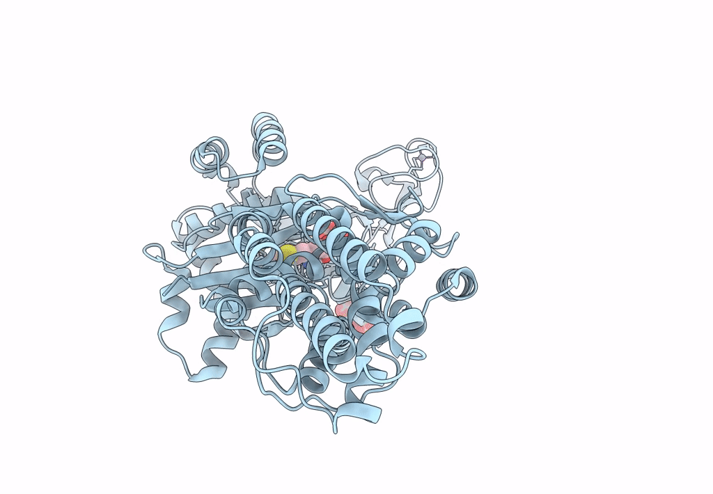 8BRV image