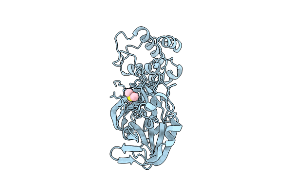 8BS1 image