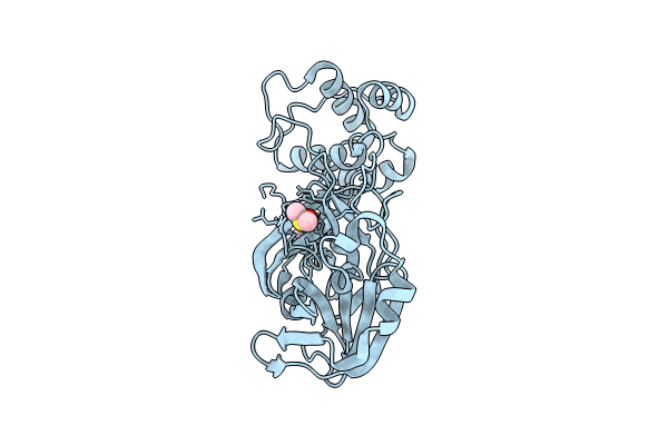 8BS2 image