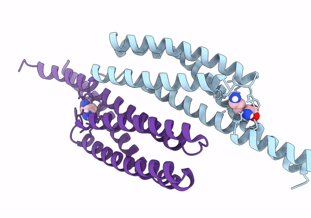 8BSB image
