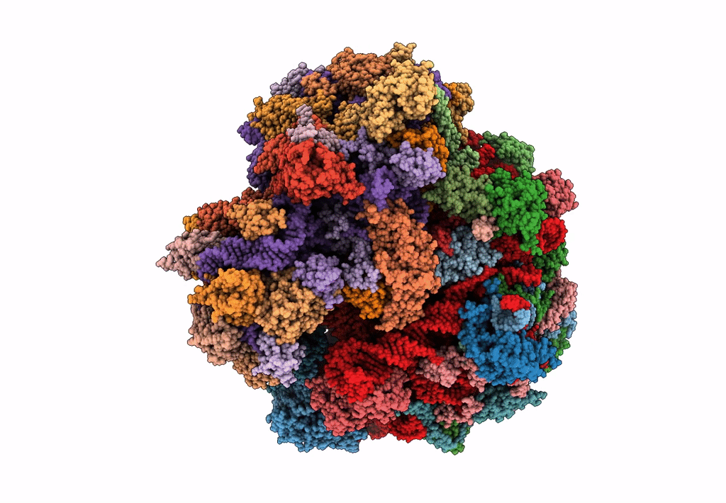 8BSI image