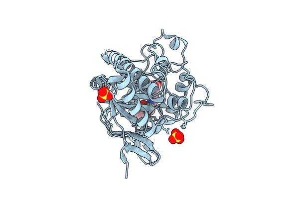 8BSX image