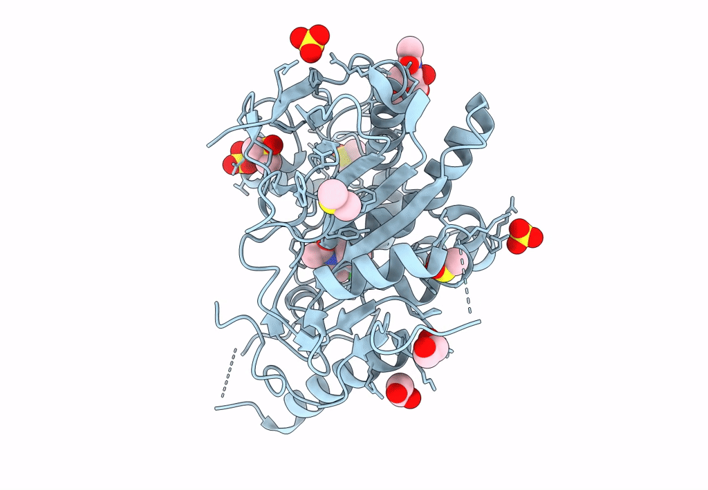 8BTA image