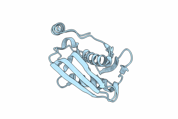 8BTX image