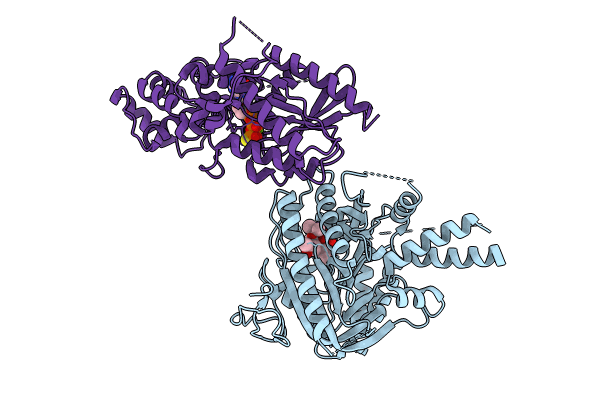 8BV5 image