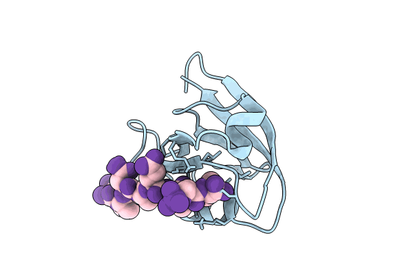 8BV7 image