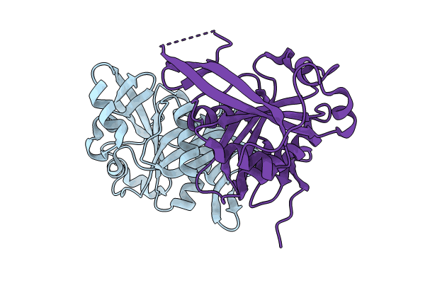 8BV8 image